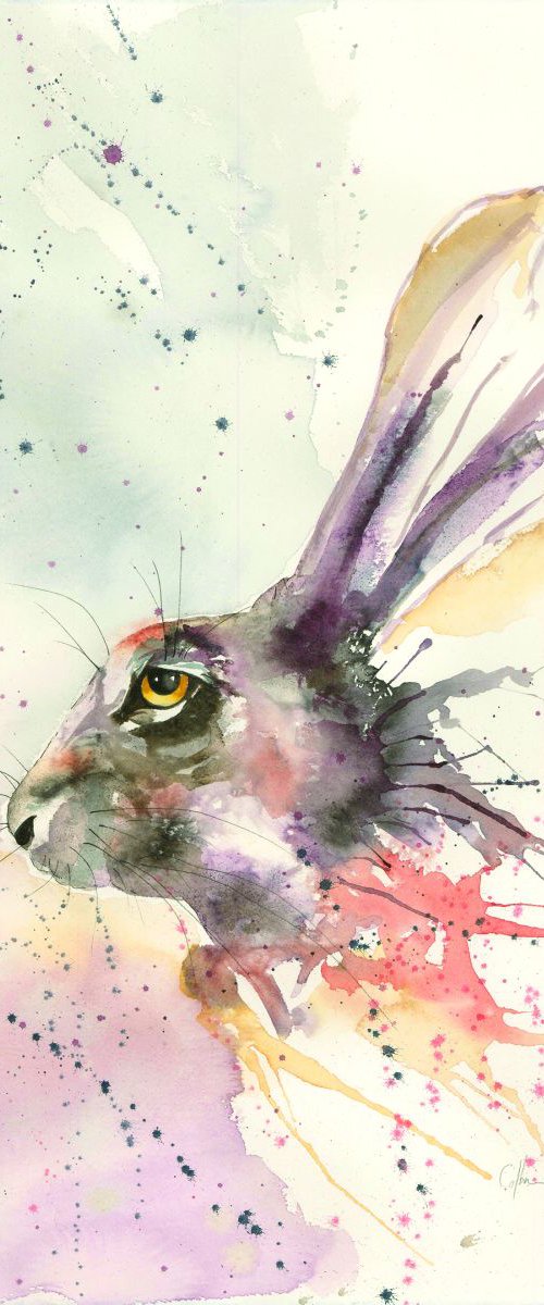 'Curious Hare' by Nicola Colbran
