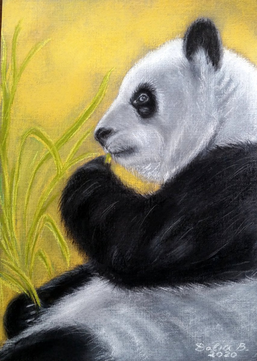 Panda by Dalia Binkiene