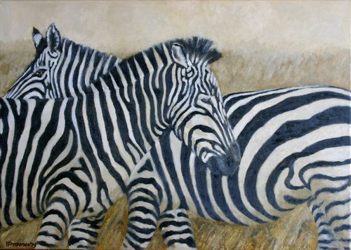 Zebras by Juri Semjonov