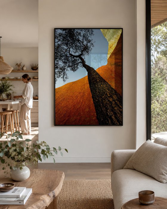 Uluru Jarrah