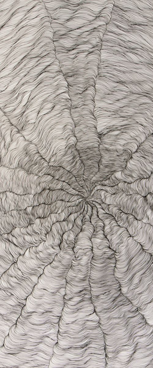 Converging ripples by Stefan Fierros