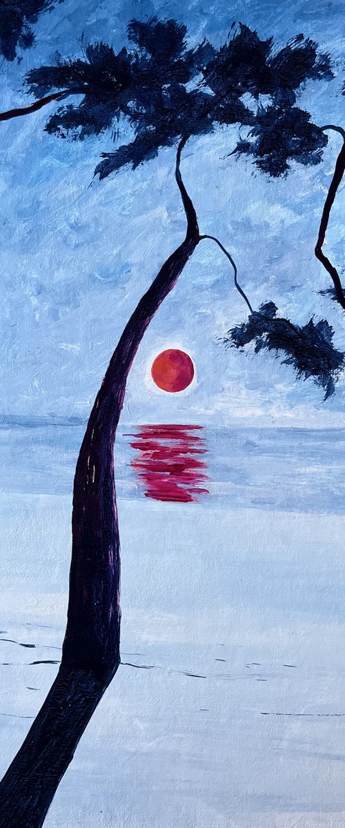 Red sun at Cap Coz by Cadiou Frederic