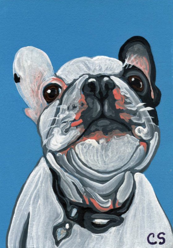 ACEO ATC Original Miniature Painting Pied French Bulldog Pet Dog Art-Carla Smale