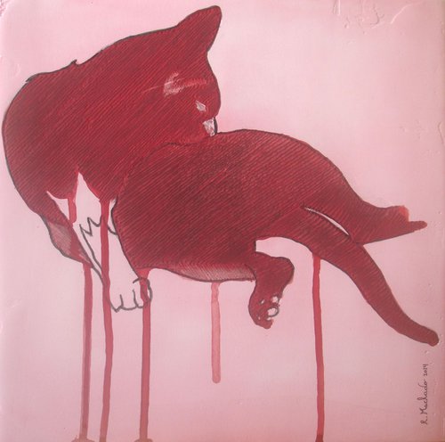 Cat by Ricardo Machado