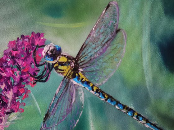 Dragonfly In A Meadow Flowers