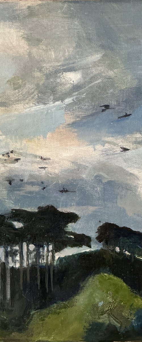 Migrating Geese by Sandra Haney