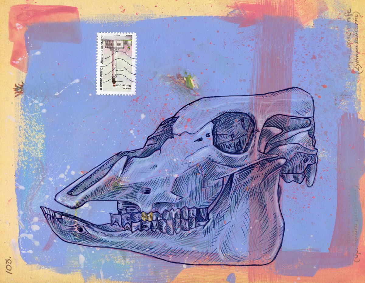 Animal Ink Drawing By Paul Ward, 11 X 8", Moo, Original Artwork