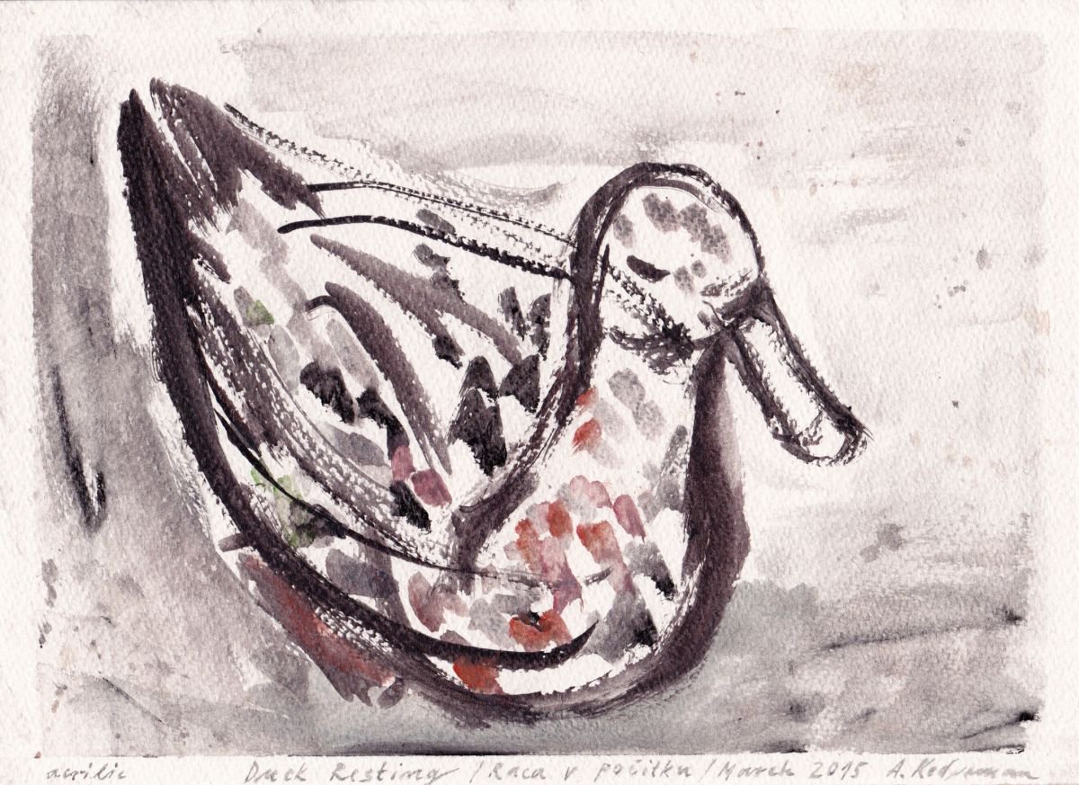 Duck Resting - Raca v počitku, March 2015, acrylic on paper by Alenka Koderman
