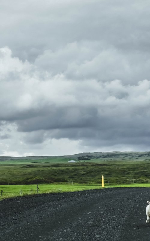 ICELAND NATURAL TRAFFIC by Fabio Accorrà