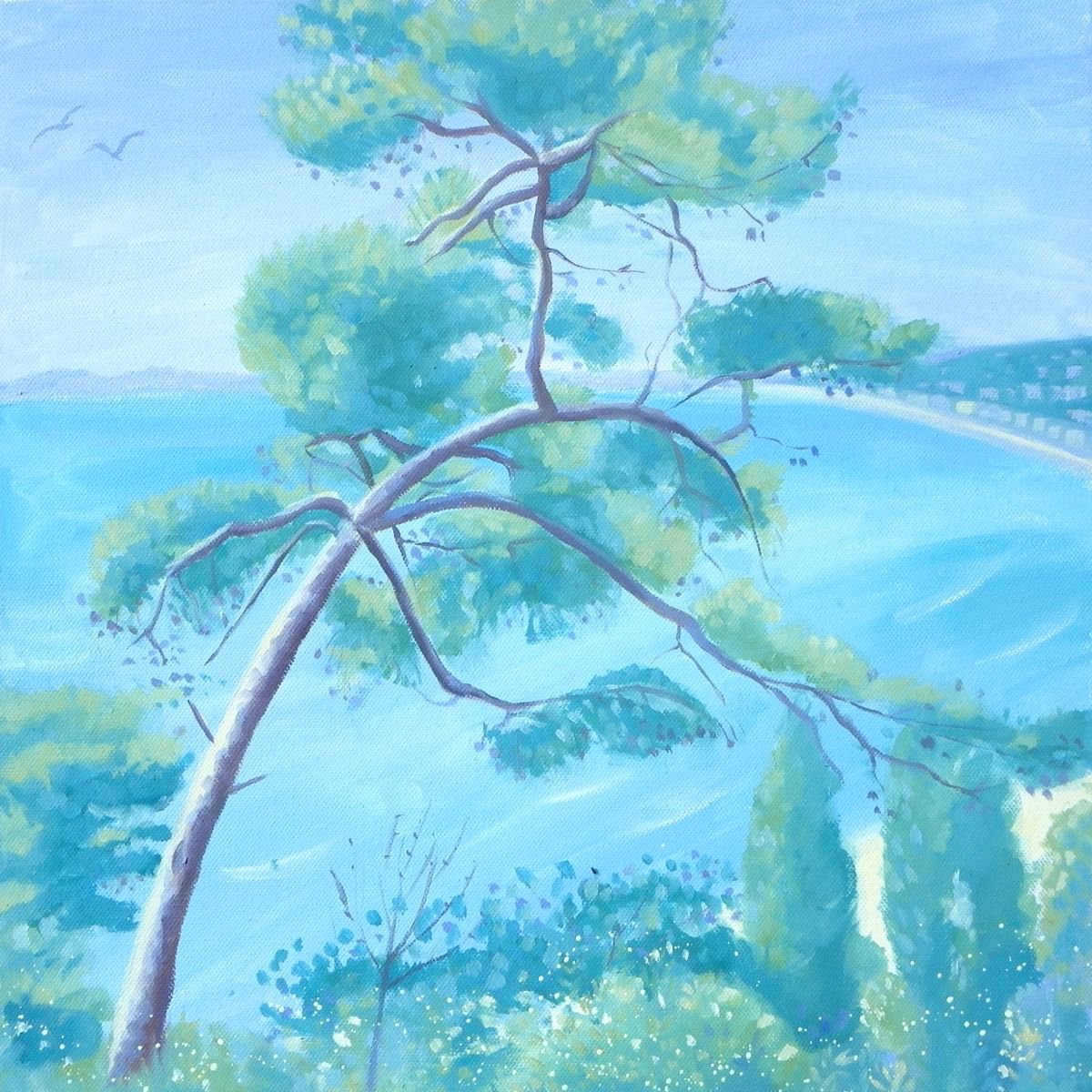 Pine Tree, Nice by Mary Stubberfield