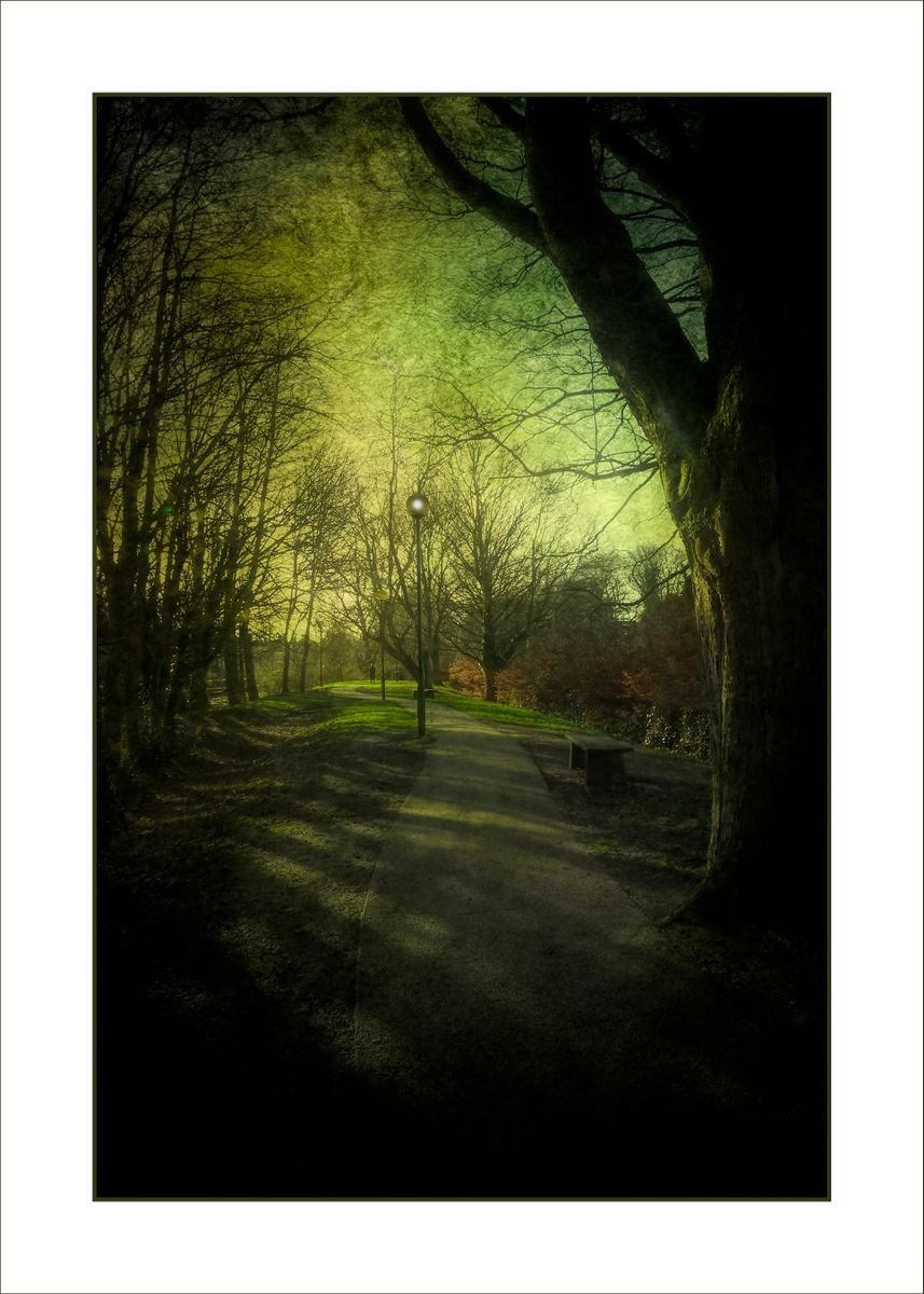 Tree lined Path by Martin  Fry