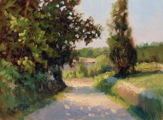 Path in Provence