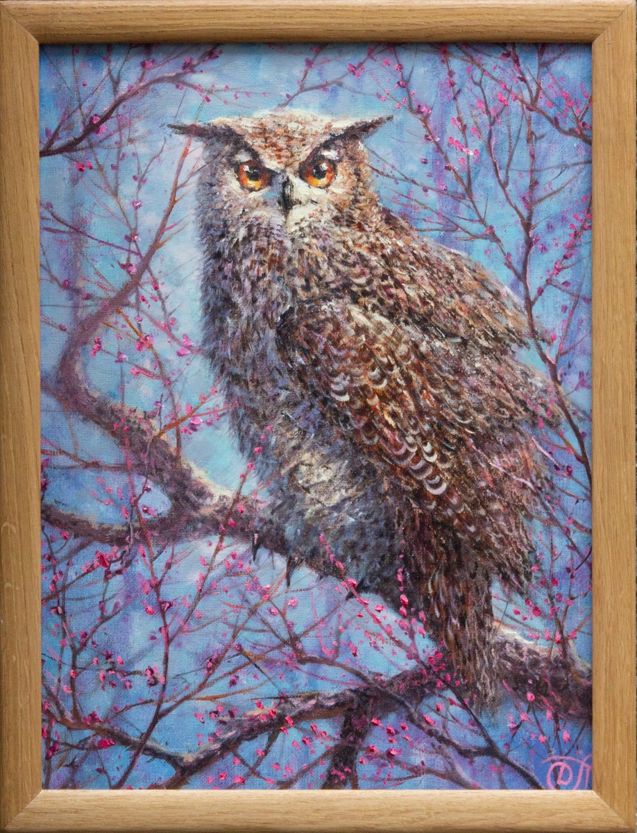 Owl by Dmitrij Tikhov