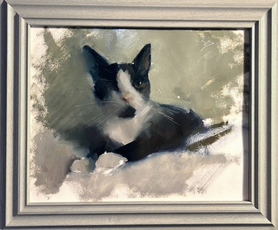 Watchful Whiskers - Uno