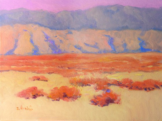 Desert. Southwest
