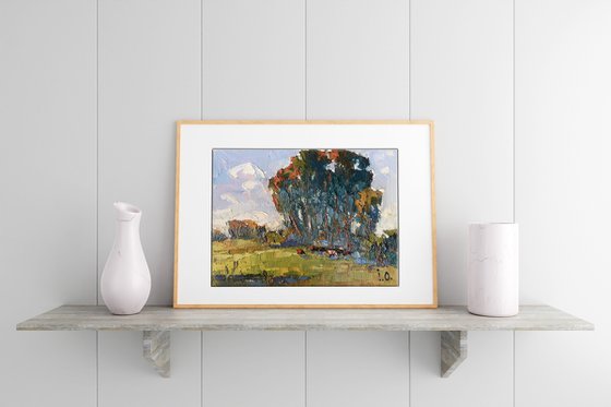 In the Shadow of Sedge