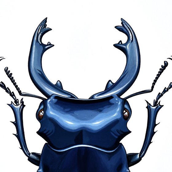 Stag Beetle #1