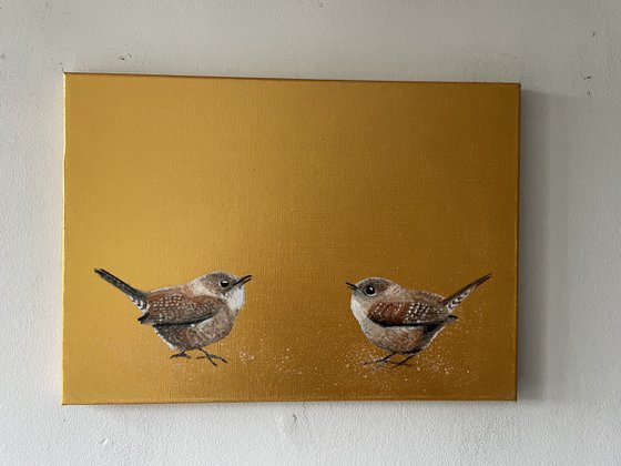 Two Little Wrens