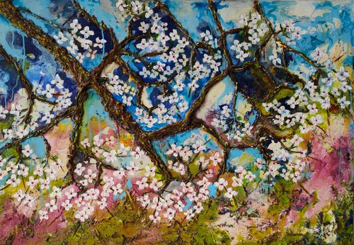 Cherry blossoms by Paula Berteotti