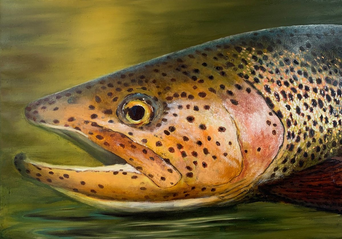 Photorealistic Animal Oil Painting By Artem _Ar.ko, 28 X 20, The Fish Of My Dreams, Original Artwork