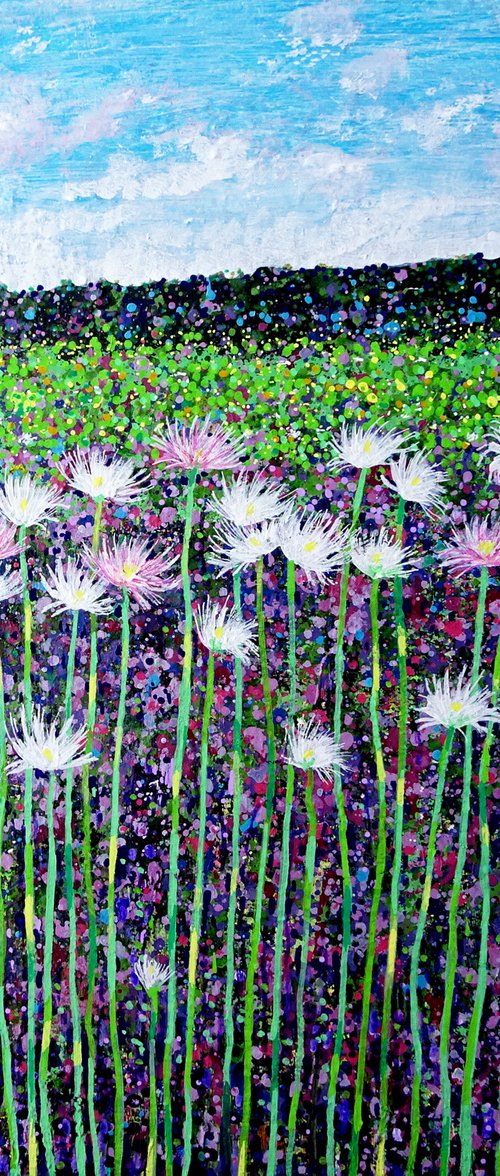 Wildflower Meadow 11 by Roz Edwards