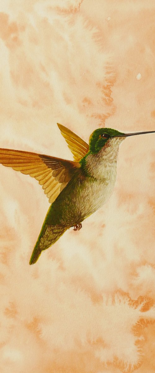 Splatter Hummingbird by Karina Danylchuk