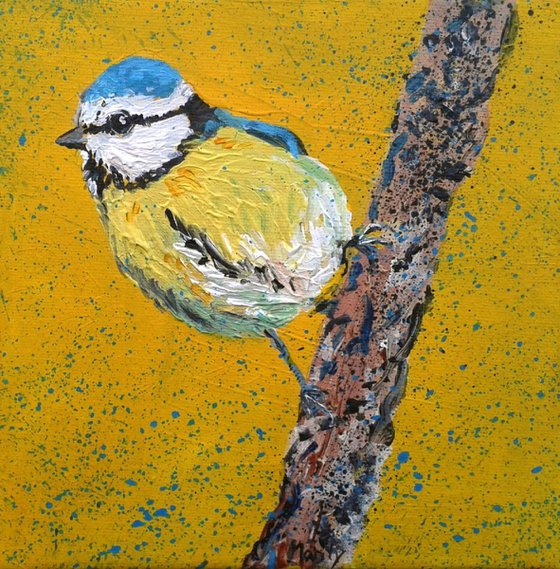 "'Blue tit"