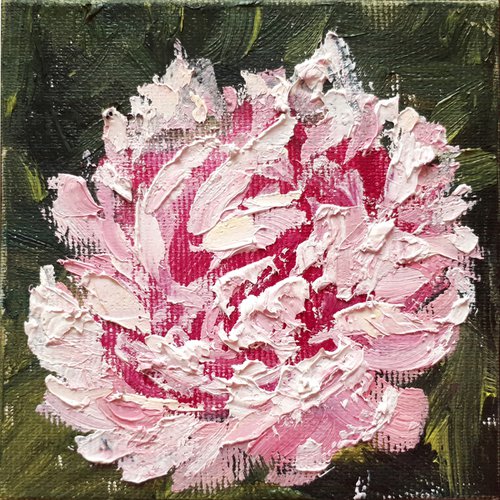 Peony 02... / FROM MY A SERIES OF MINI WORKS / ORIGINAL OIL PAINTING by Salana Art Gallery
