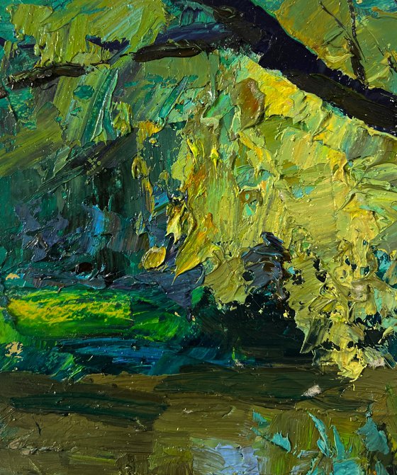 Tree near the River