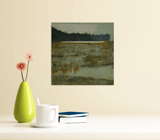 Salt Marsh