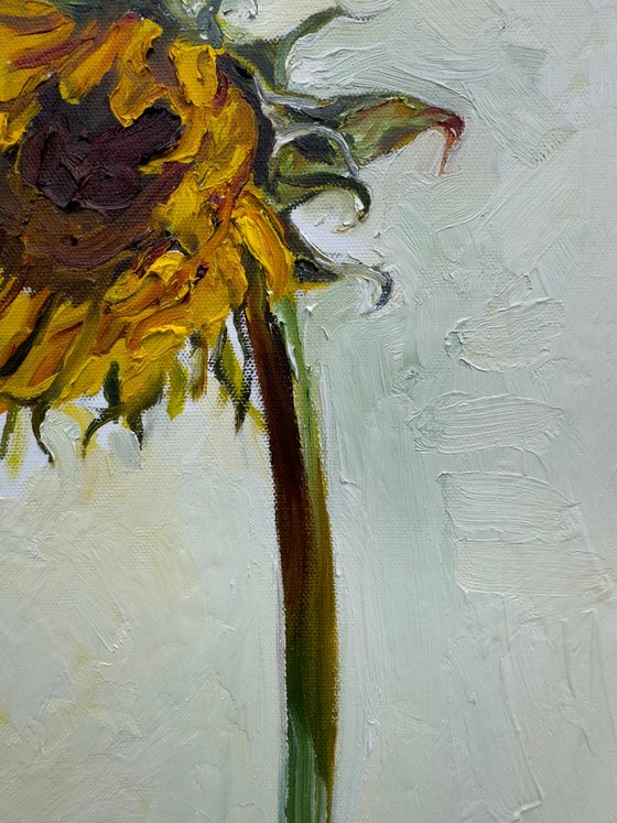 Sunflower 1