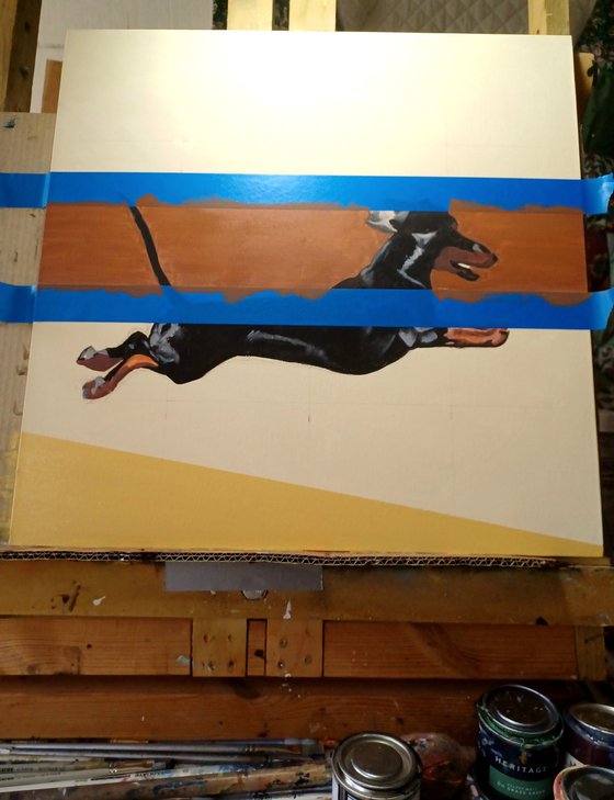 Short legs big heart! ❤️