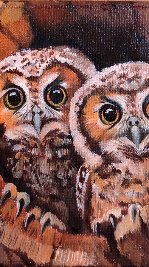 Alfred and Fred by Laura Muolo