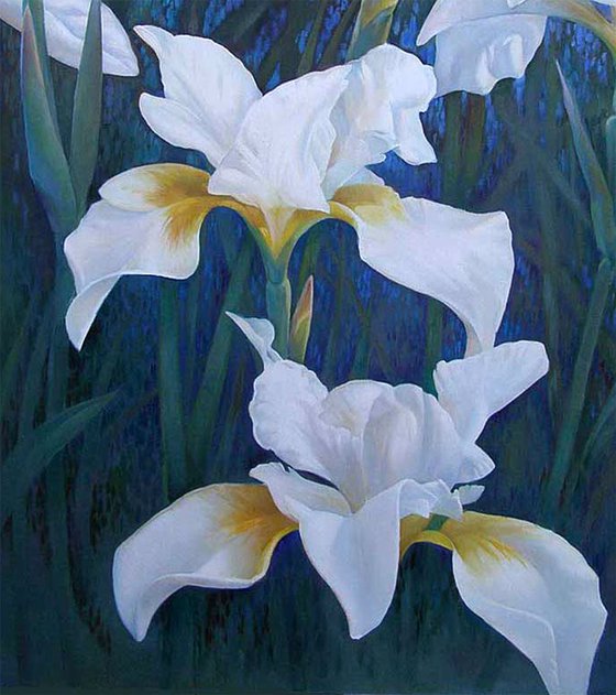 White Irises