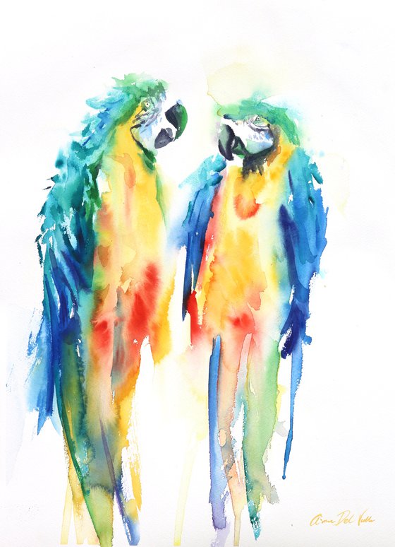The Two Macaws