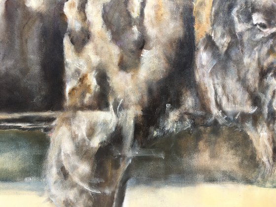 Echoes of the Wild