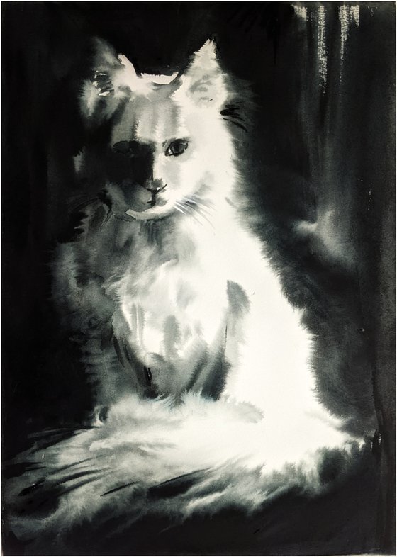 White cat
