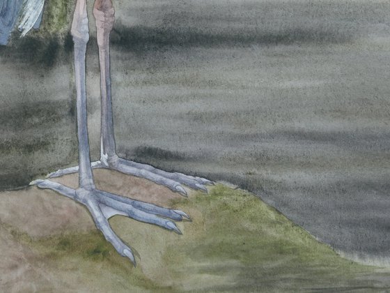 Blue Heron