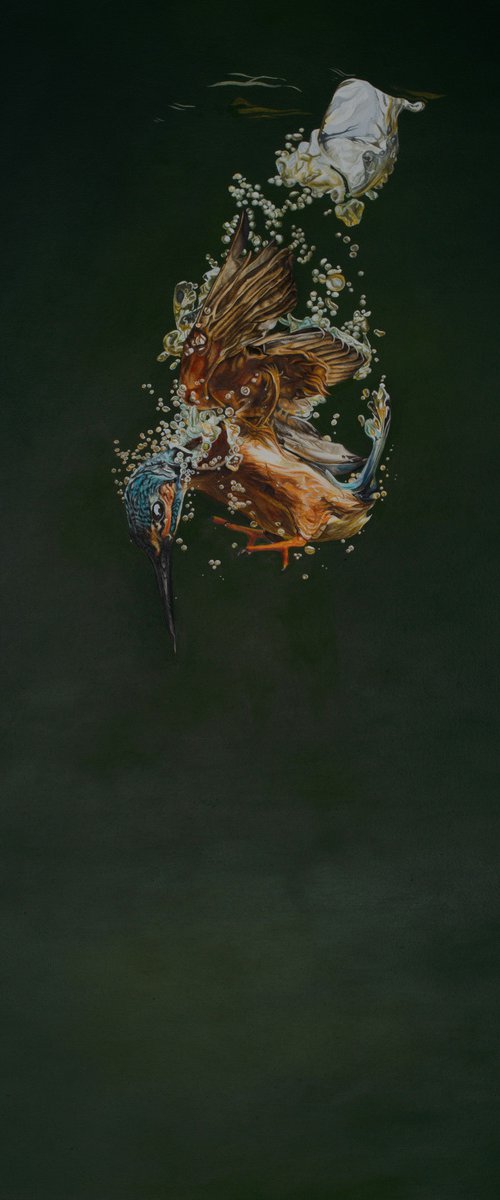 Diving Kingfisher by Natalie Toplass