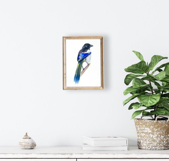 Watercolour bird magpie sitting on a branch in the rays of the sun 4