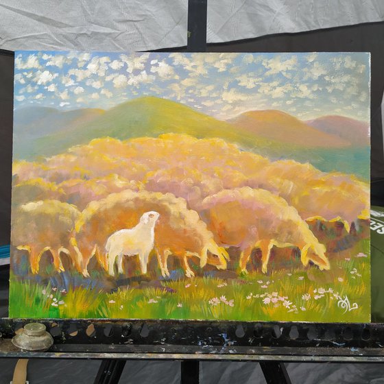 Sheep