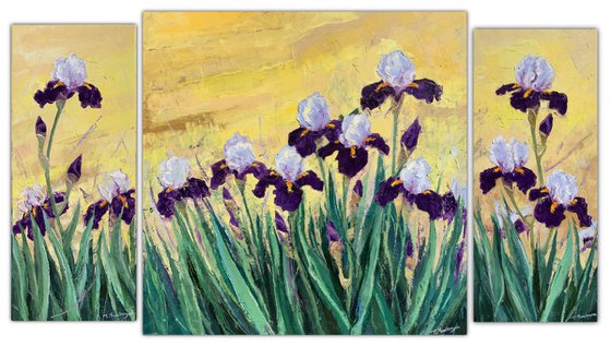 Irises at Sunrise A2,A1,A3   80x140cm