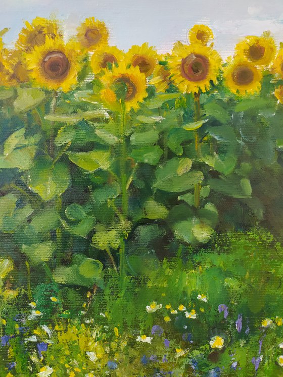 Sunflowers