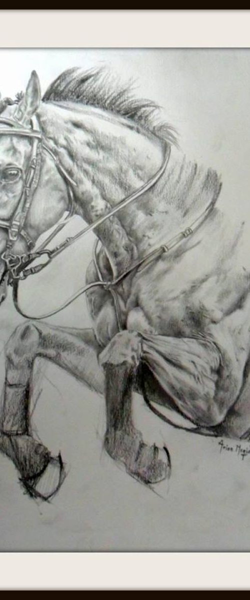 Jumping Horse II by Arion Majid Kediry