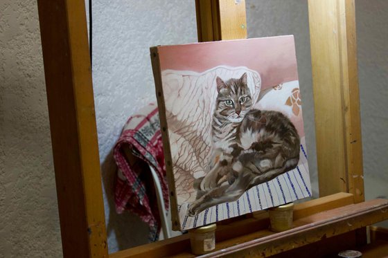 Resting on a bed, portrait of a grey cat