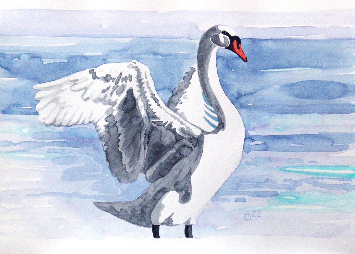 Big swan by Jolanta Czarnecka
