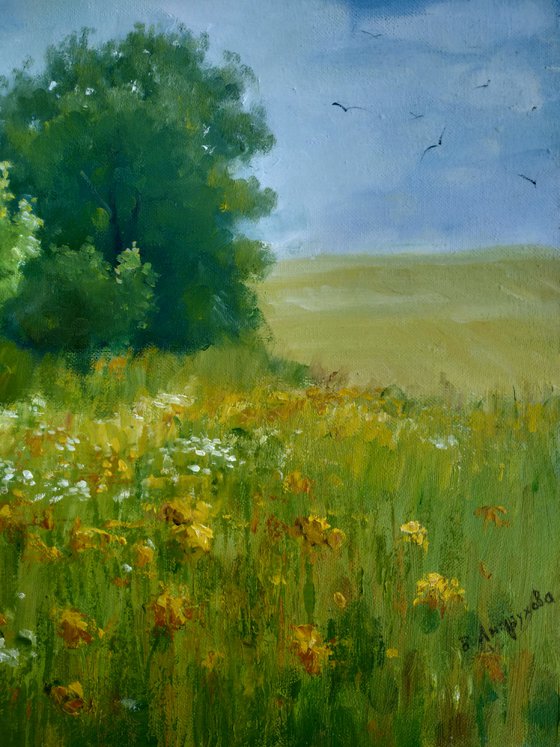 Summer landscape