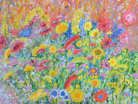 Wildflower Meadow 2026