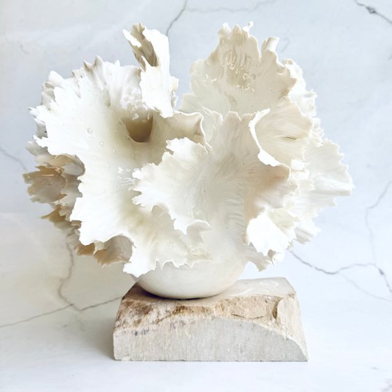 White Coral