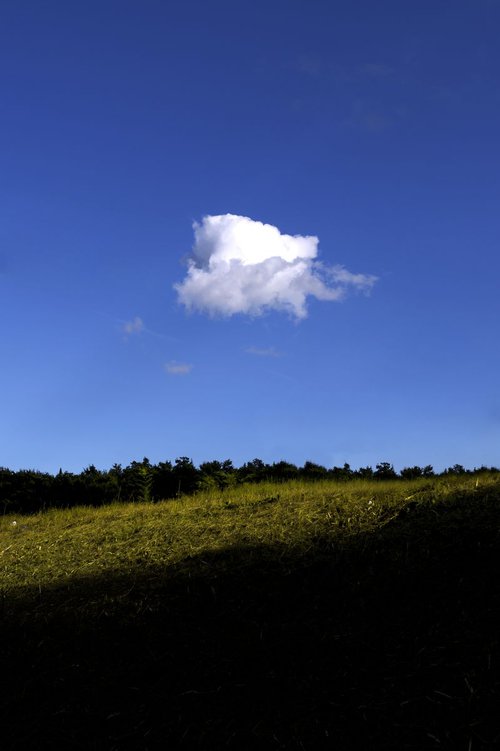 Cloud by Chiara Vignudelli